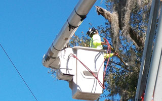 SECO_Energy_Tree_Trimming01 SECO Energy Tree Trimming