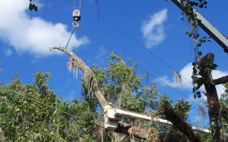 SECO_Energy_Tree_Trimming02 SECO Energy Tree Trimming