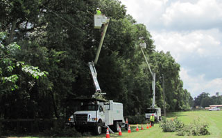 SECO_Energy_Tree_Trimming03 SECO Energy Tree Trimming
