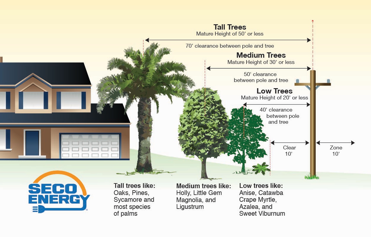 SECO_Energy_Right_Tree_Right_Place SECO Energy Right Tree Right Place 2025